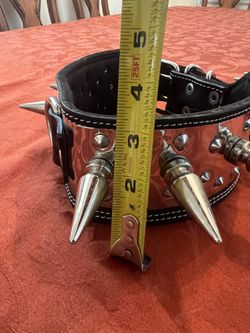 Spiked Leather Dog Collar