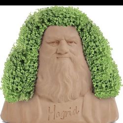 Hagrid Funny Pet Planter - Budding Buddies Decorative Pottery Planters (Open Box