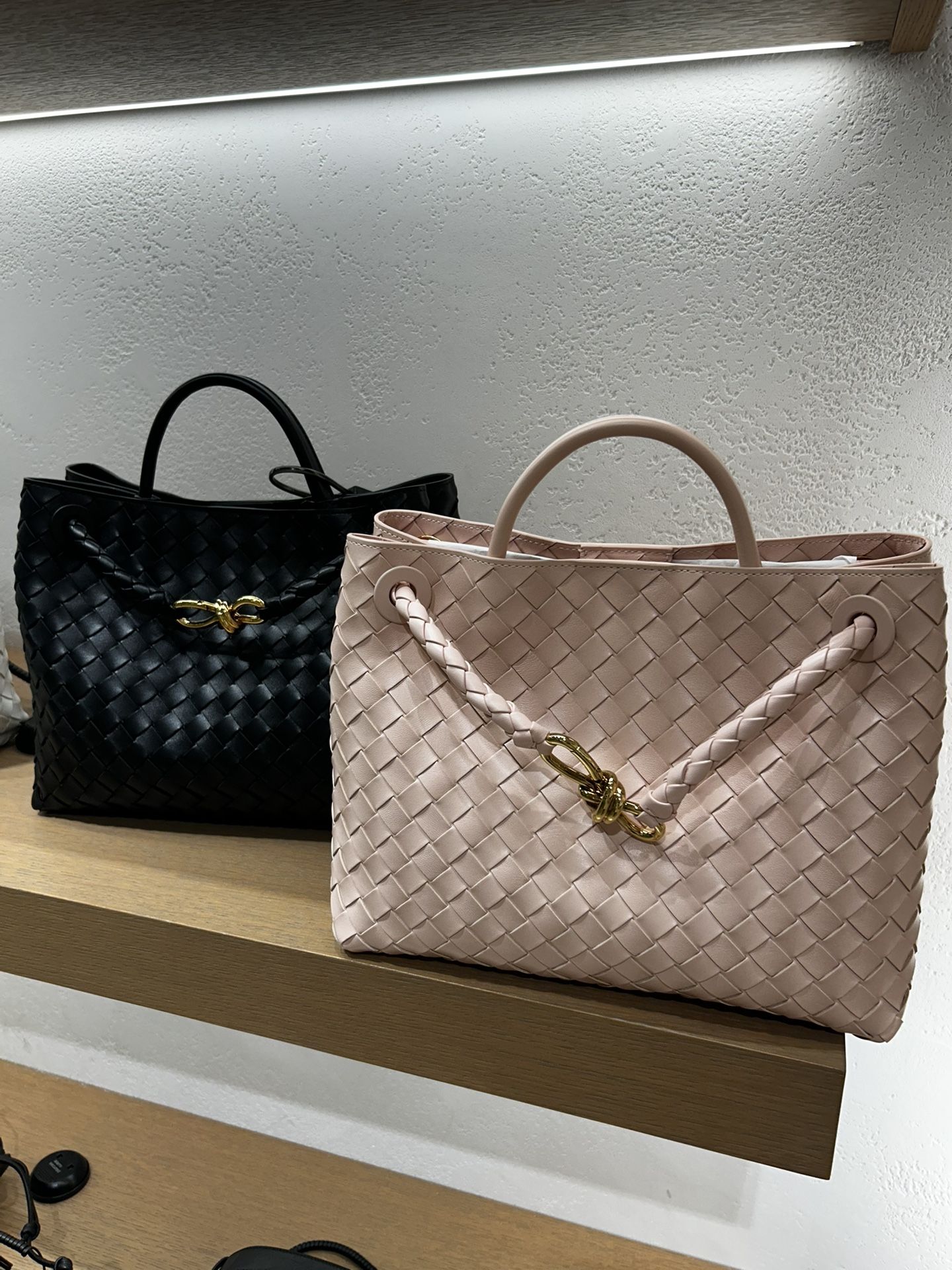 Bottega Veneta Andiamo Bag (Medium)