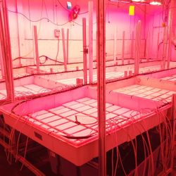 LED Grow Lights From A Tier 2