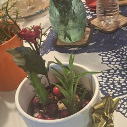 Plants Make Good Gifts