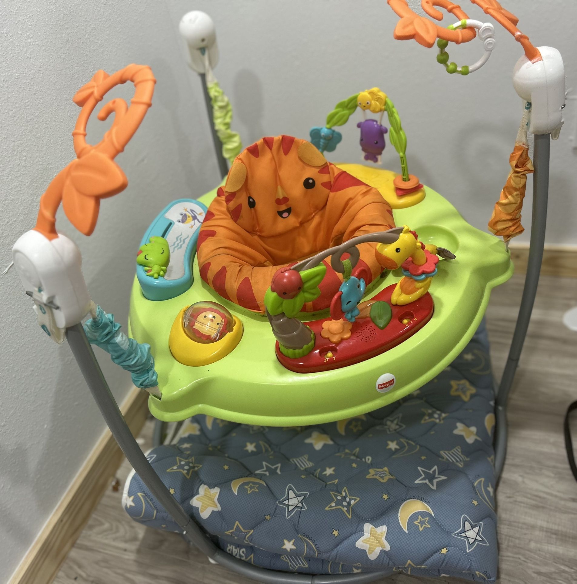 fisher-price rainforest bouncer