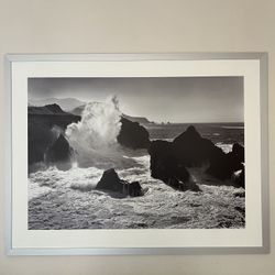 Framed Print