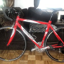 Specialized Bike 