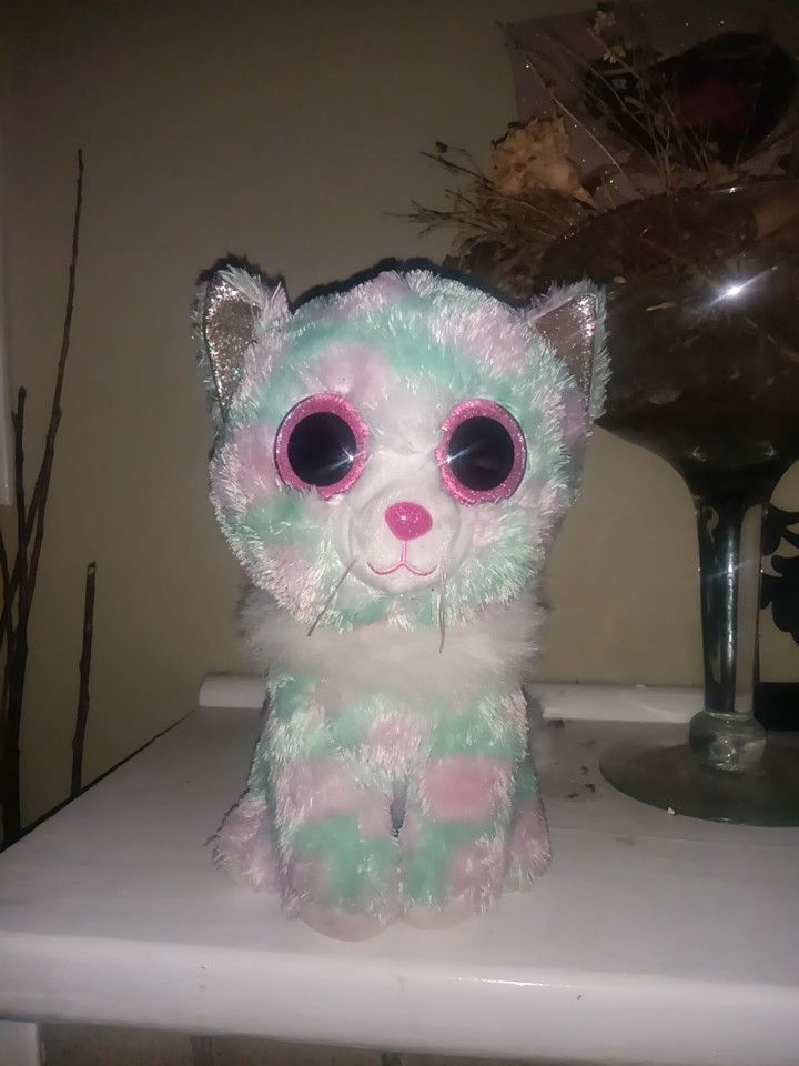 Cat Teddy Bear