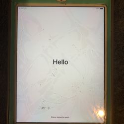iPad Mini 2