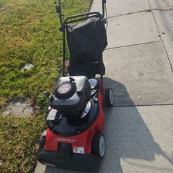 Troy Bilt Leaf Vacuum 