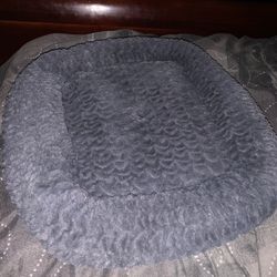 Cat Bed
