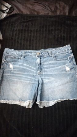 LAUREN CONRAD JEAN SHORTS Sz 17