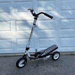 WingFlyer Zike Elliptical Stepper Scooter Bike (Hi-Gloss White)