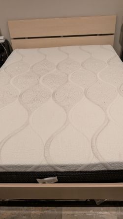 Queen Foam Mattress