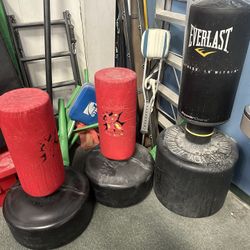 Punching/Kicking Bags & Pads