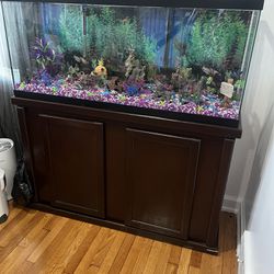 60 Gal Fish Tank & Stand