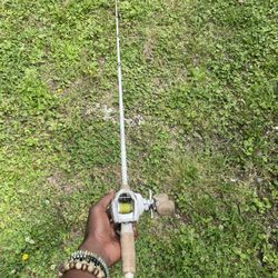 Real Tree Bait caster