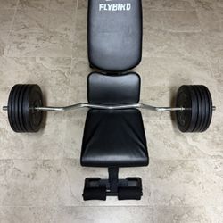 Weight Bench 