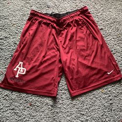 Nike Baseball Shorts
