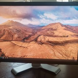 Two 24-inch Dell U2410f Displays