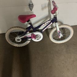 Bike Magna Size 16