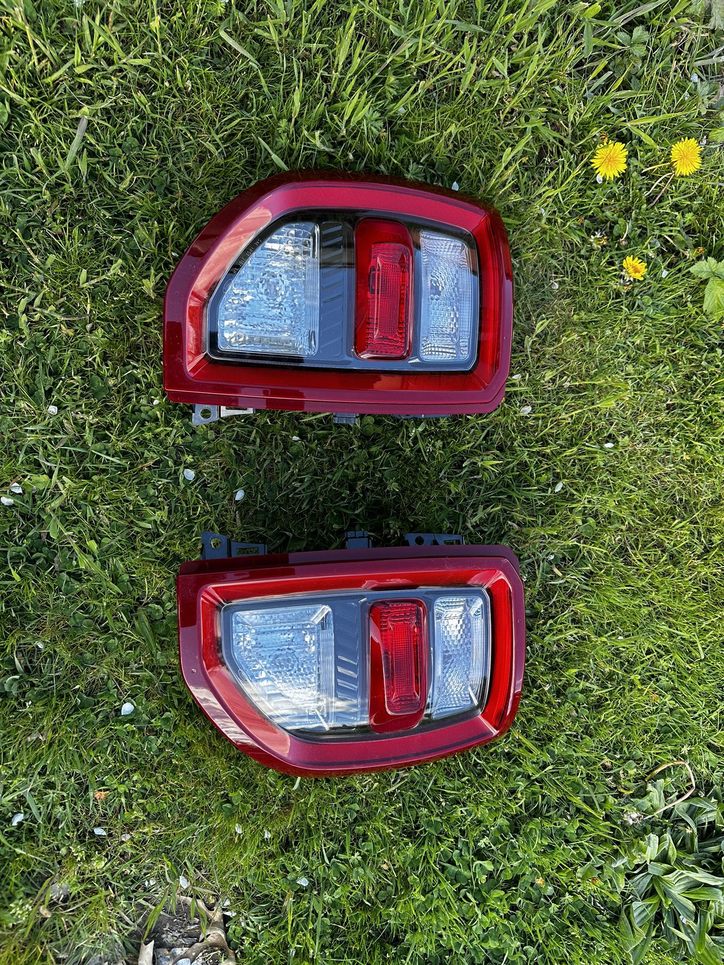 Ford Bronco Sport Taillights 