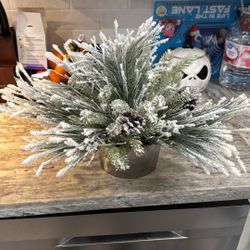 Christmas Plant (plastic )