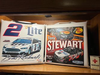 Two Collectible NASCAR SEAT cushions