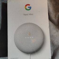 Google Nest Mini