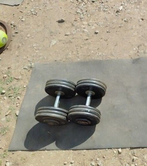 Dumbbells 2x65lbs