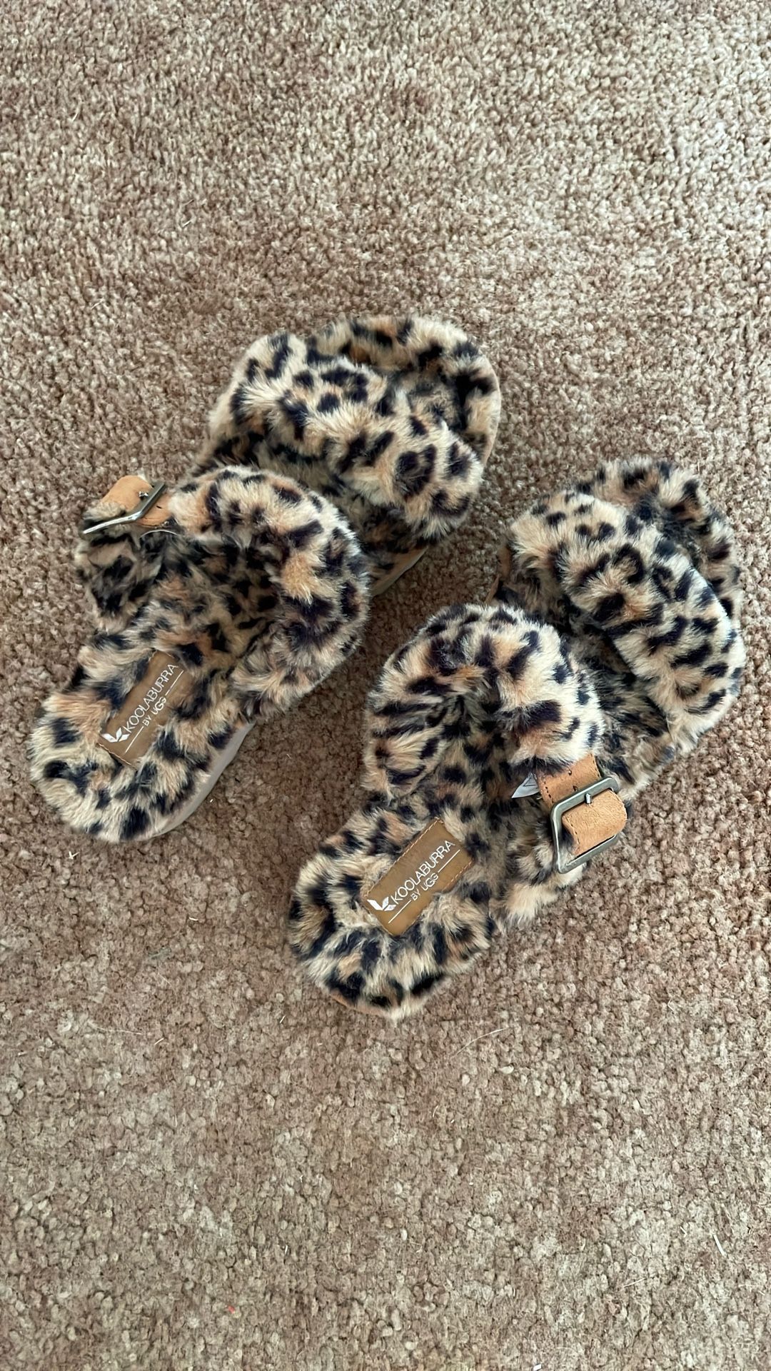 UGG Koolaburra