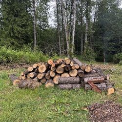 Free Firewood