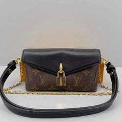 Louis Vuitton classic print chain bag