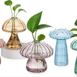 Hewory Glass Mushroom Propagation Stations: Set of 5 Unique Propagation Jars, Glass Planter for Indoor Plants, Home Decor - Colorful Mushroom Vase Gif