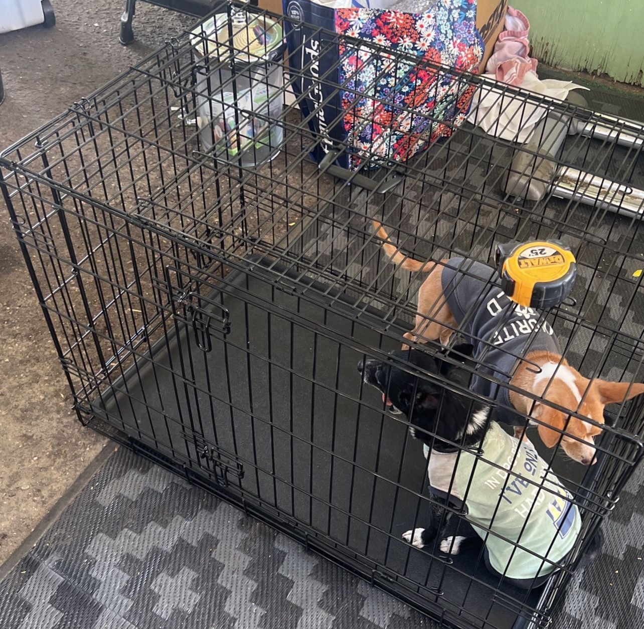 Crate For Dogs