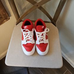 Nike Dunks Size 11.5-Red & White