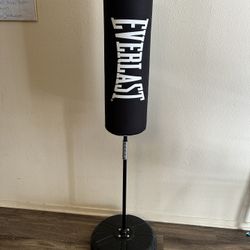 Everlast Boxing/Exercise Bag