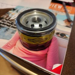 Briggs & Stratton Oil Filter 492932