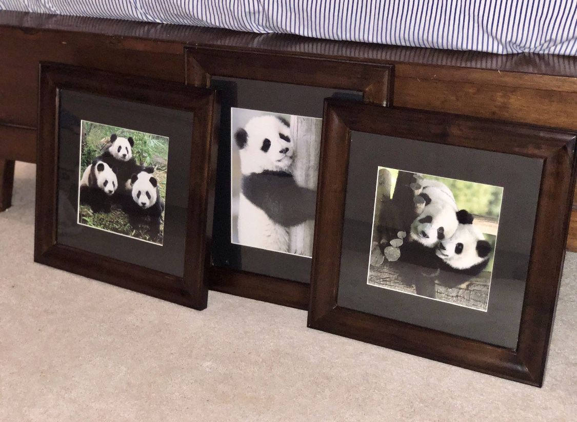 NEW Pottery Barn Framed Panda Set (3 total)