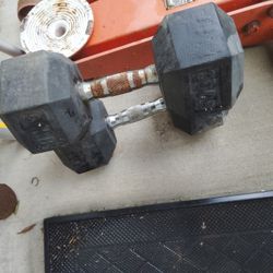 2 50lbs Dumbbell 