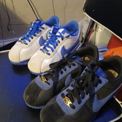 Cortez 72 