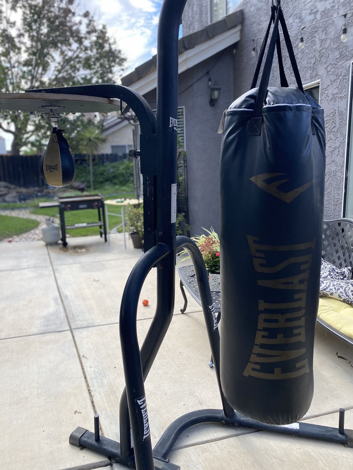 Punching Bag And Speed Bag