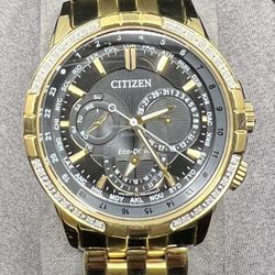 Citizen Watch 