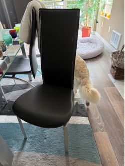 4 Dania dining chairs