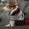 Jeffrey