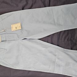 Express Dress Pants