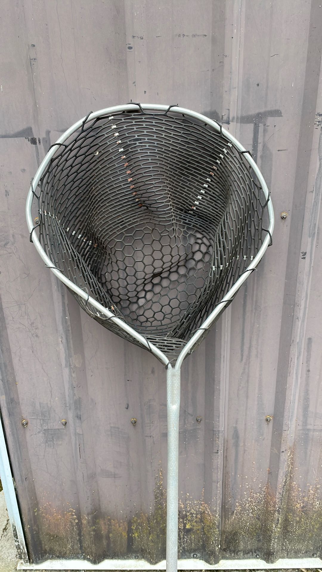 Fish Net