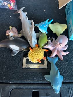 Sea creatures set $10