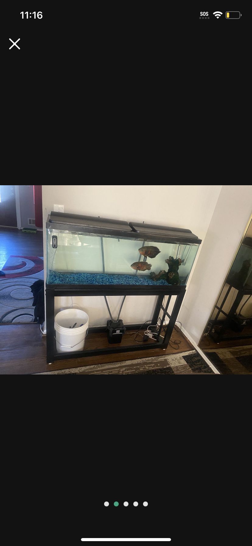55g Tank, Stand, Two Filtrations Setups, Water Heat 