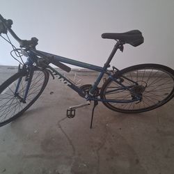 Giant escape hybrid 2023 yr