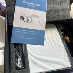 Projector And Screen 