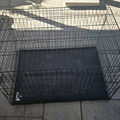 Large Dog Crate