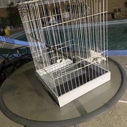 Bird Cage